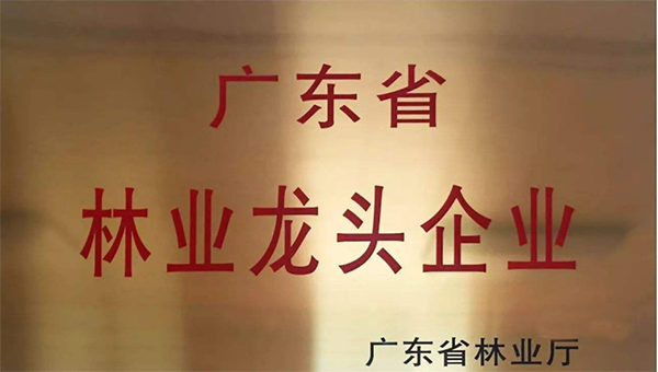 荣获“2020 年广东省林业龙头企业”荣誉称号