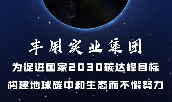 促进2030碳达峰目标 | 木质改性黑科技板材